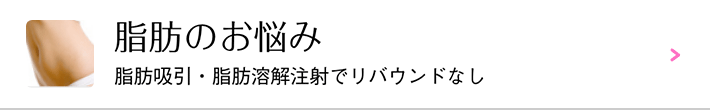 脂肪のお悩み