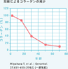 加齢によるコラーゲンの減少