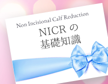 NICRの基礎知識