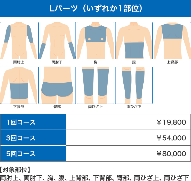 医療レーザー脱毛 男性Lパーツ：両肘上、両肘下、胸、腹、上背部、下背部、臀部、両ひざ上、両ひざ下のいずれか一部位