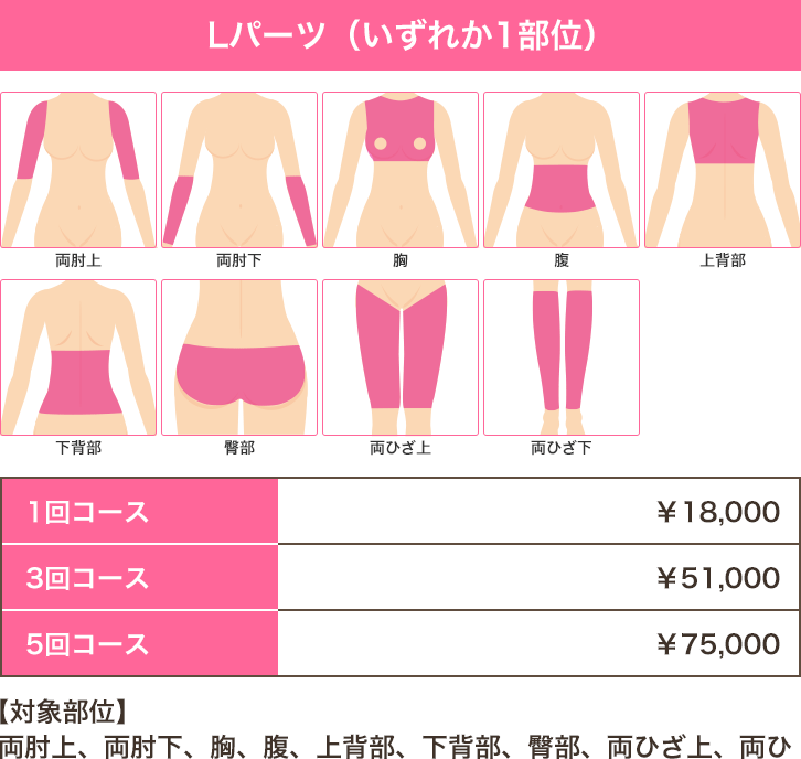 医療レーザー脱毛 女性Lパーツ：両肘上、両肘下、胸、腹、上背部、下背部、臀部、両ひざ上、両ひざ下のいずれか一部位